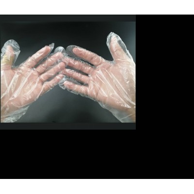 Food Handling Disposable Gloves Pe Ce 0.6g/pc Pe Gloves